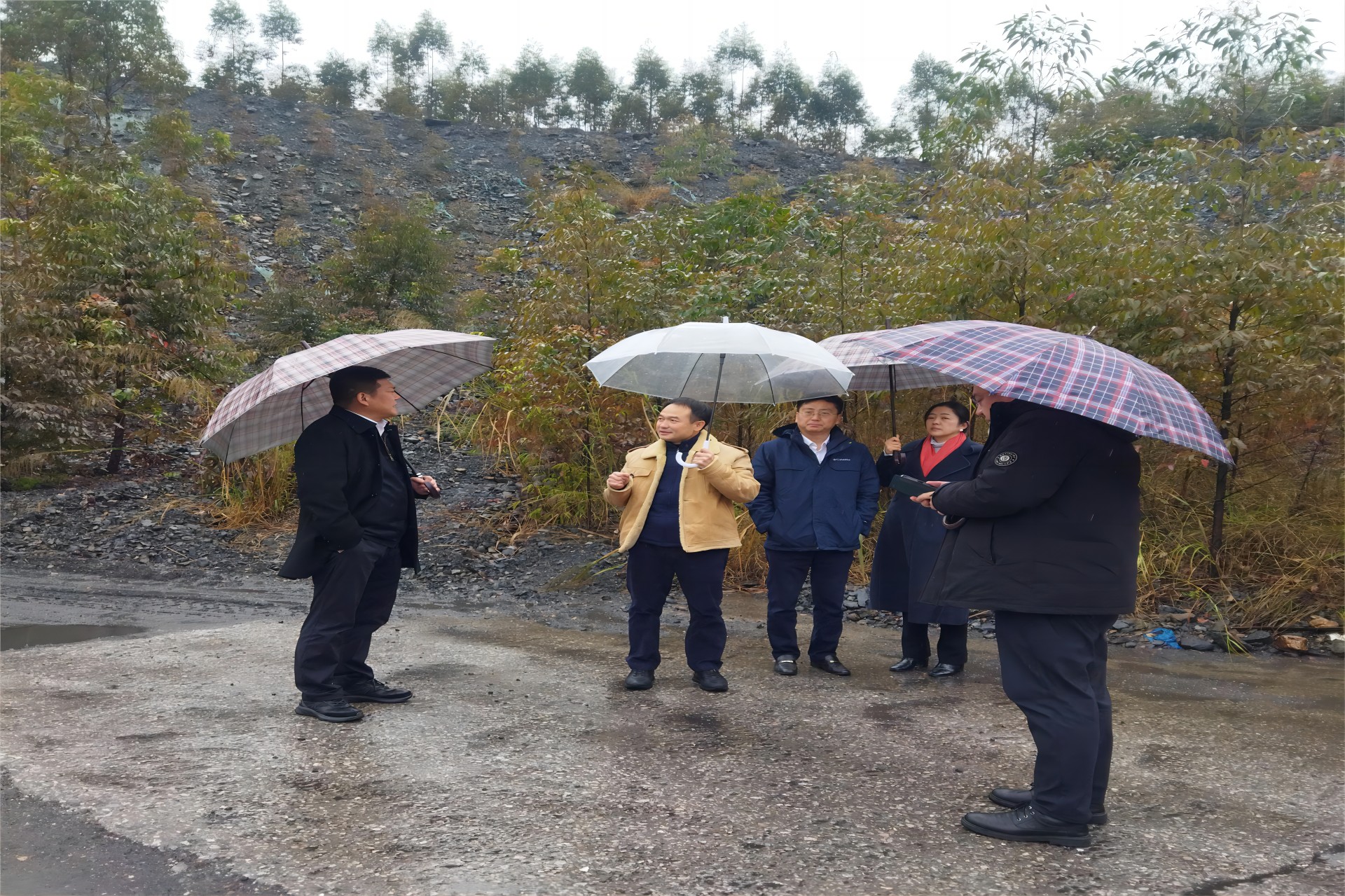 1707317184349375.jpg 6.jpg